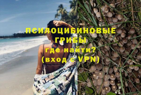 мяу мяу мука Баксан