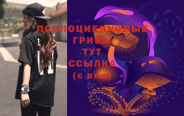 мяу мяу мука Баксан